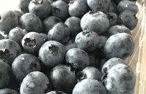 The Simple Eating Hack That Could Prevent Most Diseases Including Blindness