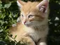 Trump Insurrectionist Who Said Her Whiteness Would Keep Her Out Of Jail Gets 2 Months In Prison