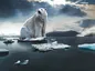 “We Are Nowhere Near Where We Need to Be” on Climate Action