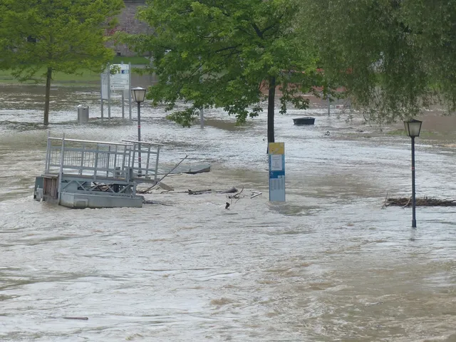 Heavy rain, rising temperatures could mean floods on Lower Mainland, Vancouver Island