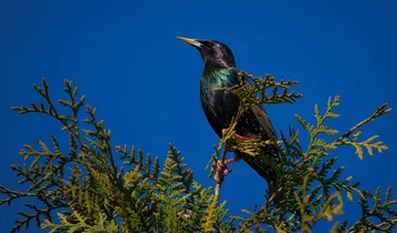 TikTok’s Highest-Earning Stars: Addison Rae and More